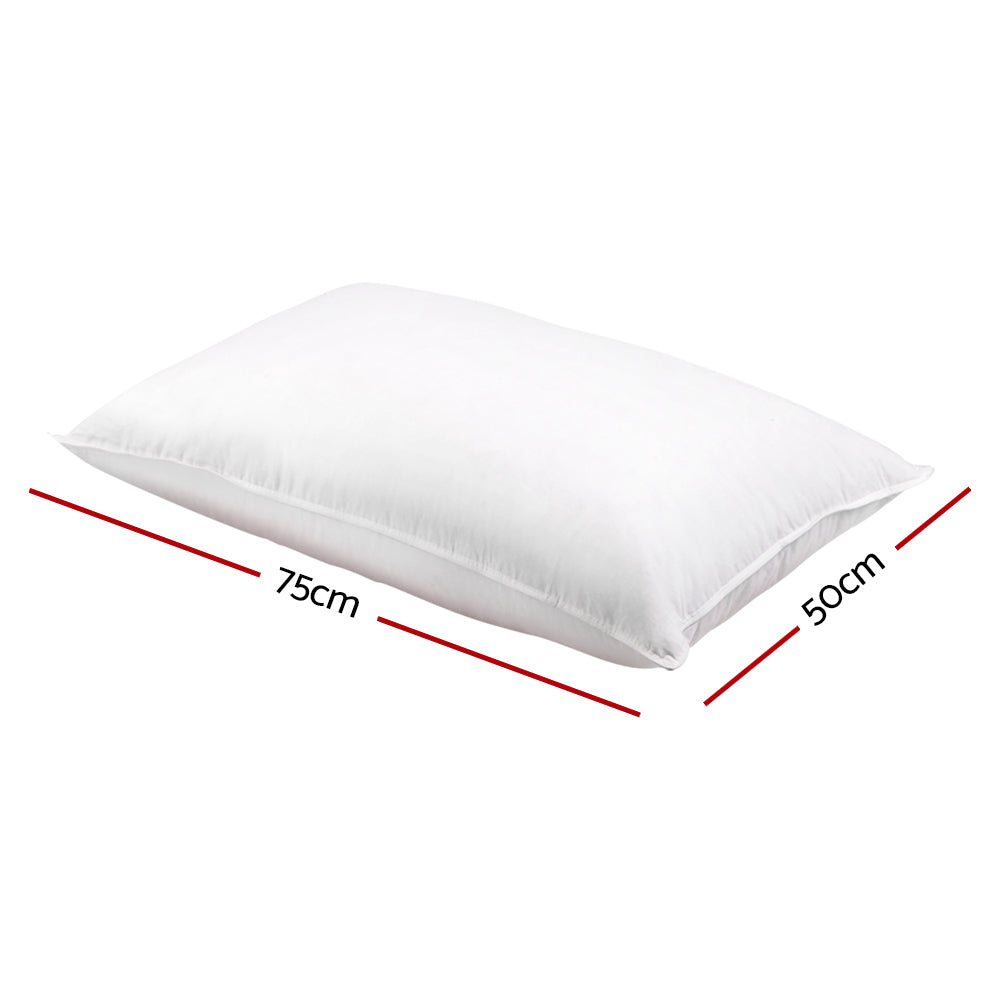 Giselle Duck Feather & Down Pillow Twin Pack – Dreamy Comfort for Nights You’ll Never Forget