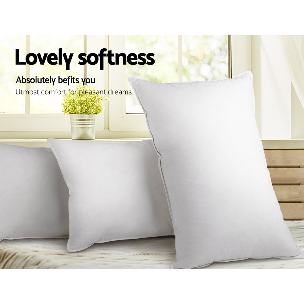 Giselle Duck Feather & Down Pillow Twin Pack – Dreamy Comfort for Nights You’ll Never Forget