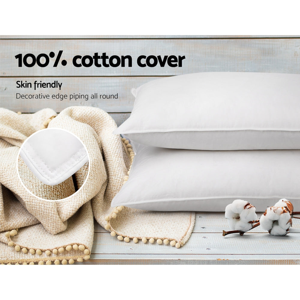 Giselle Duck Feather & Down Pillow Twin Pack – Dreamy Comfort for Nights You’ll Never Forget