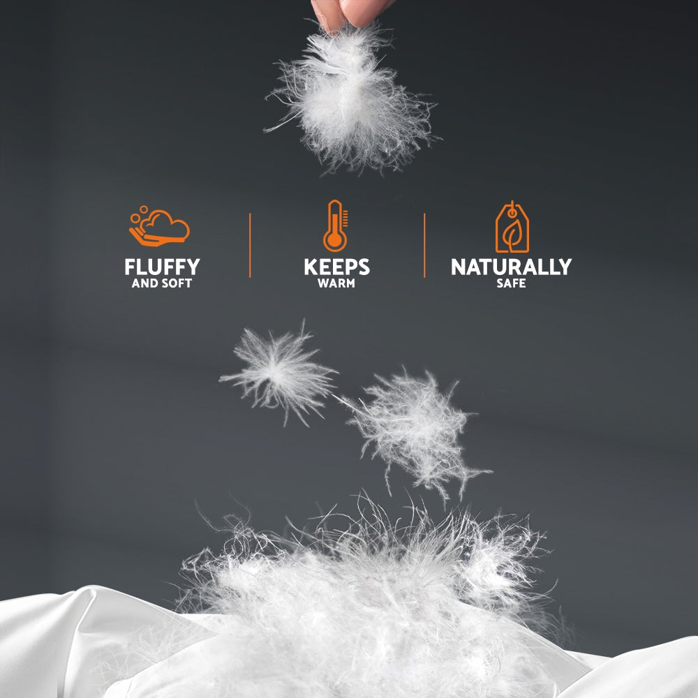Giselle 500GSM Goose Feather Down Quilt – Your Winter Snuggle Companion